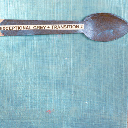 Real-Paint-Exceptional-grey