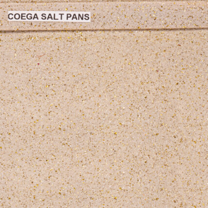 Real-Paint-Coega-Salt-PANS